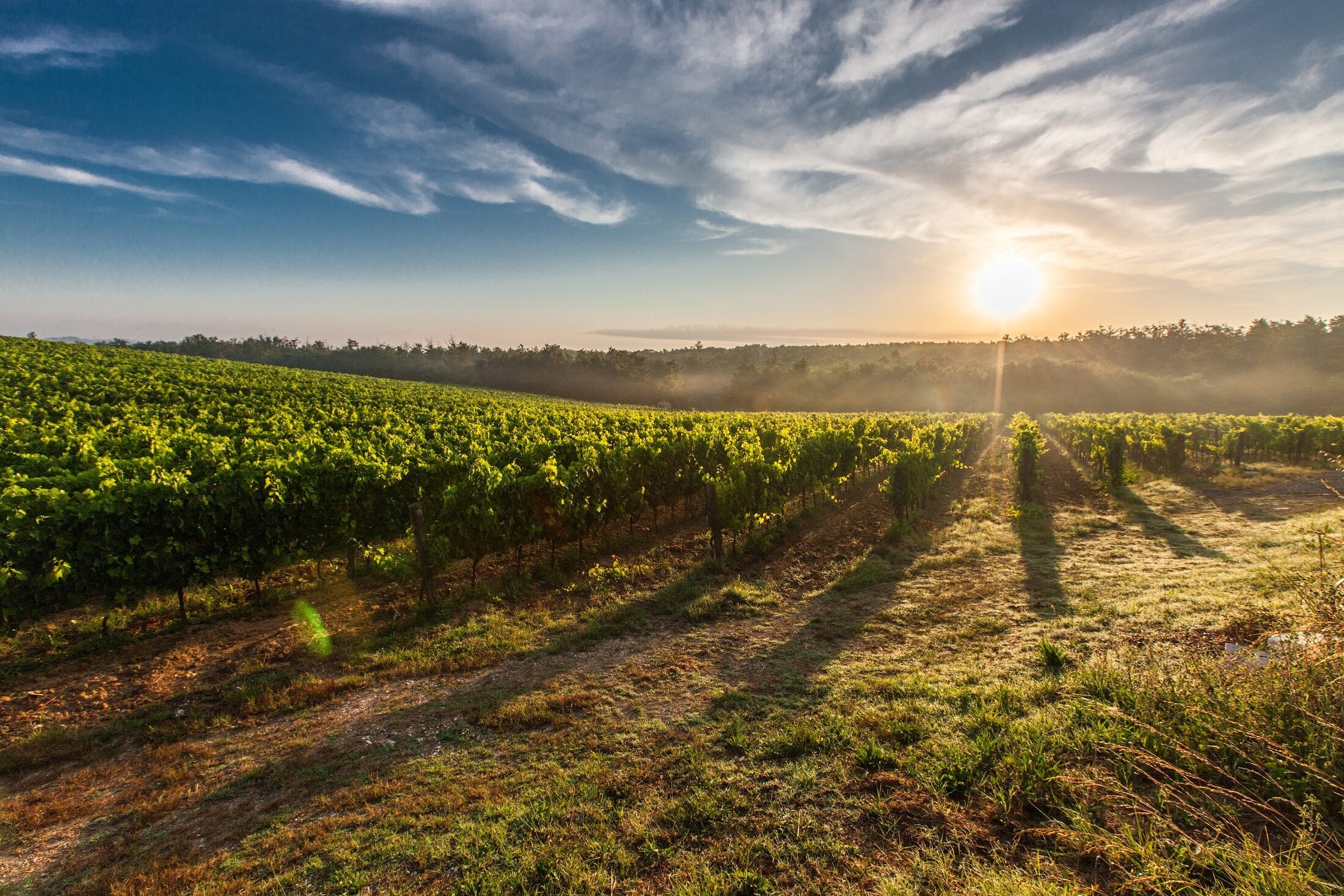 frazionamento terreno agricolo