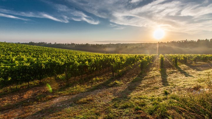 frazionamento terreno agricolo